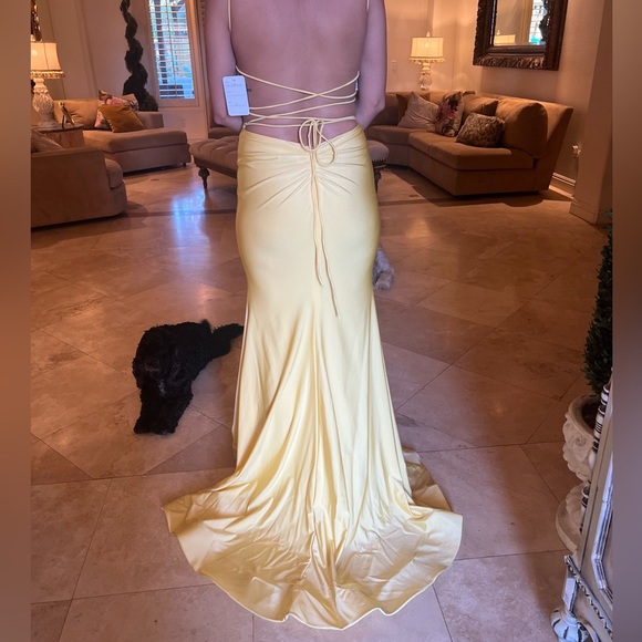 Gorgeous Butterfly Prom Dress - Picture 3 of 4